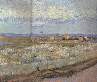 Vincent Van Gogh La Crau with Peach Trees in Blossom (nn04) oil painting image